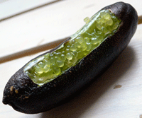 citron - caviar I fruits & légumes I nous vous livrons